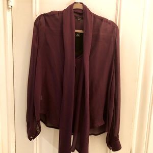 Beautiful sheer Blouse